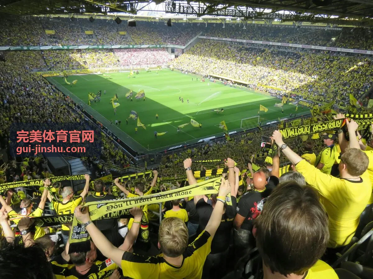 完美体育官网综合体育中心运营托管案例